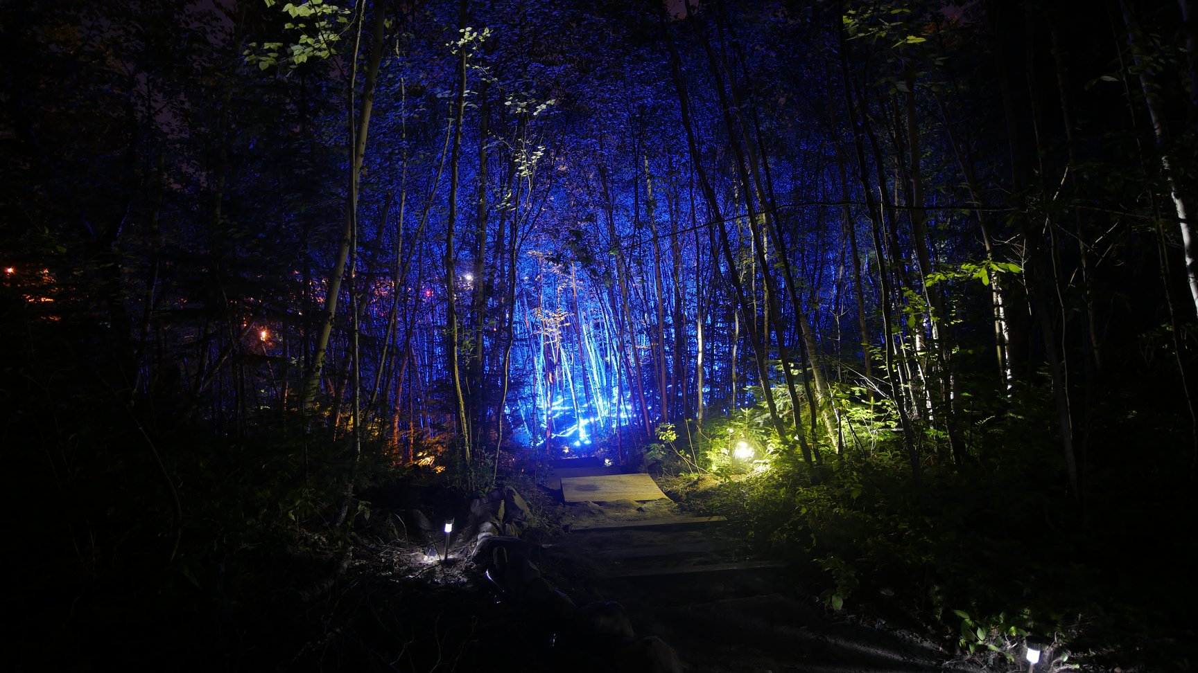 la forêtNumérique_PetitThéâtreduVieuxNoranda