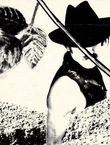 Morceaux choisis des créations des Zybrides et du Théâtre de Coppe