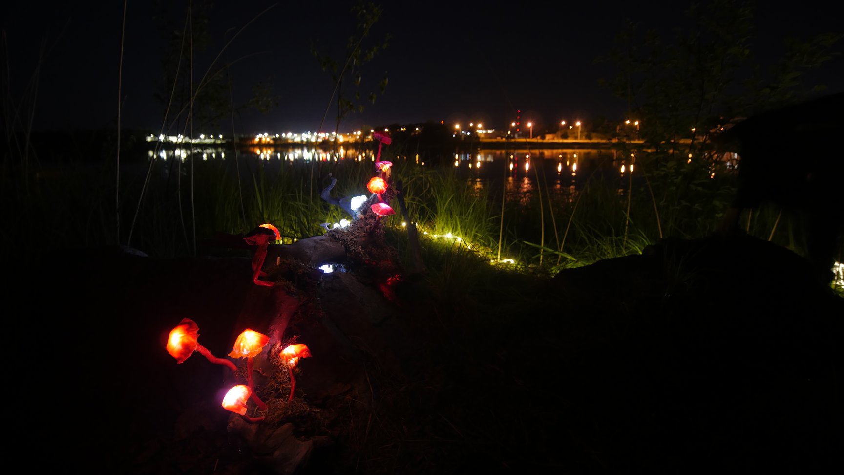 La Forêt numérique_Parsi Parla_Petit Théâtre du Vieux Noranda